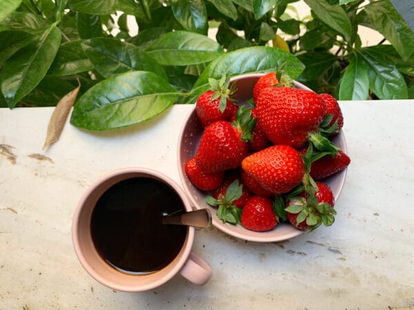 Strawberry Black 12 pack - Image 3